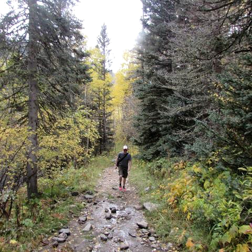 Charming Handmade Yurt Rental Nestled in the Taos Ski Valley of New Mexico