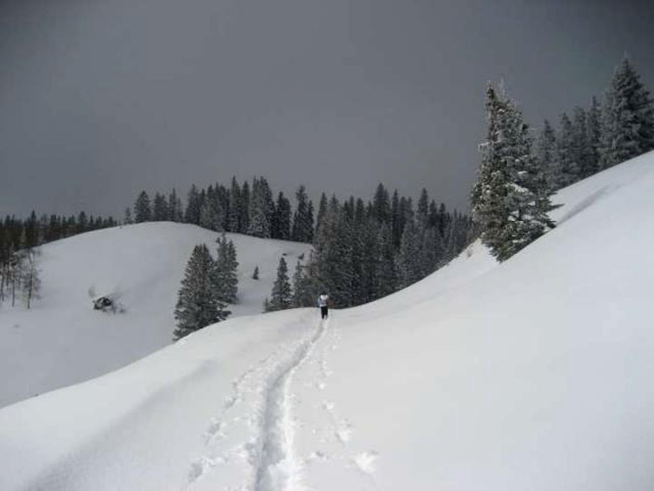 Modern Ski Yurt Rental near the Trujillo Meadows Reservoir in Colorado