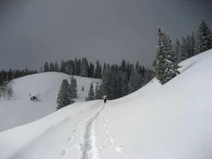 Yurts (Taos, New Mexico, United States)