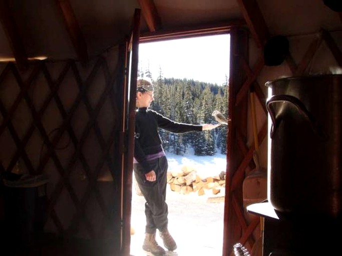 Yurts (Taos, New Mexico, United States)