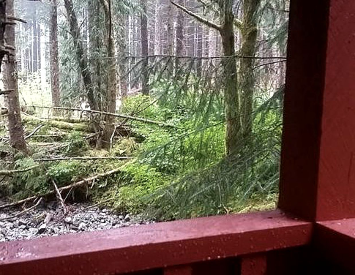 Charming A-Frame Cabin Rental on Prince of Wales Island in Hollis, Alaska