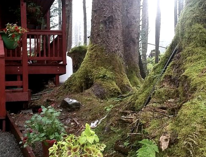 A-Frame Cabins (Hollis, Alaska, United States)