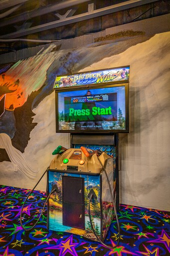 Cottages (United States of America, Cosby, Tennessee)