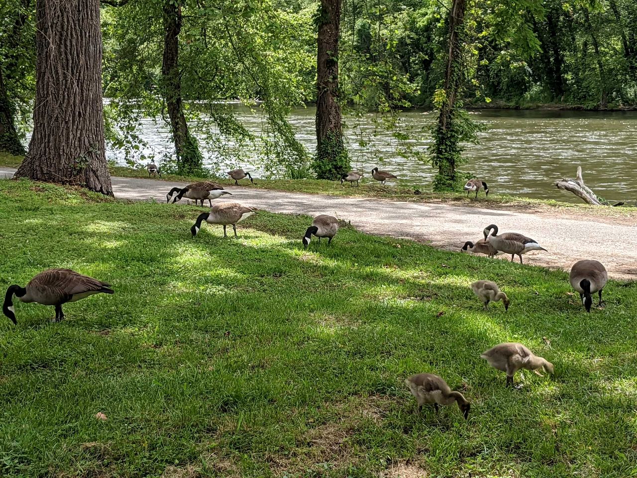 Idyllic Pet-Friendly Riverside Retreat with Hot Tub near Great Smoky Mountains, Bryson City, North Carolina