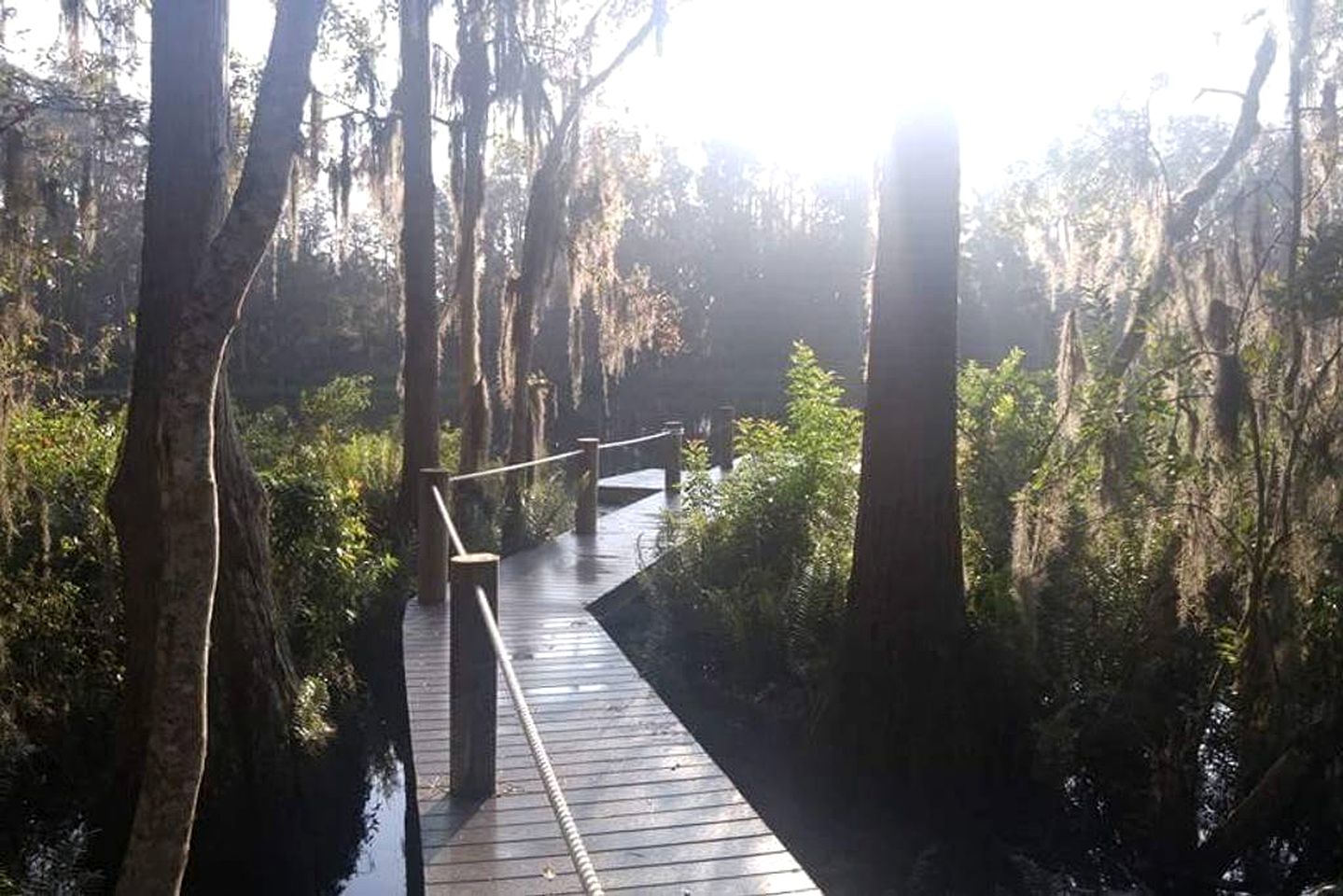 Luxurious Villa Rental with Pool and Hot Tub near Tampa, Florida