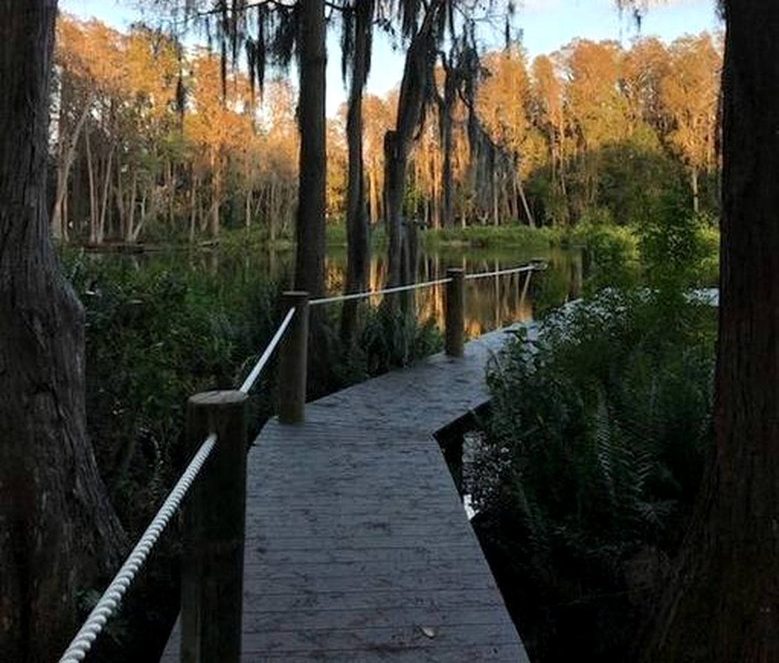 Luxurious Villa Rental with Pool and Hot Tub near Tampa, Florida