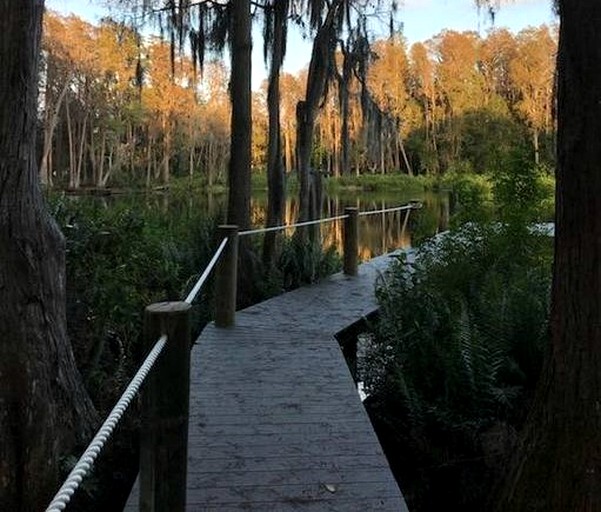 Villas (Lutz, Florida, United States)