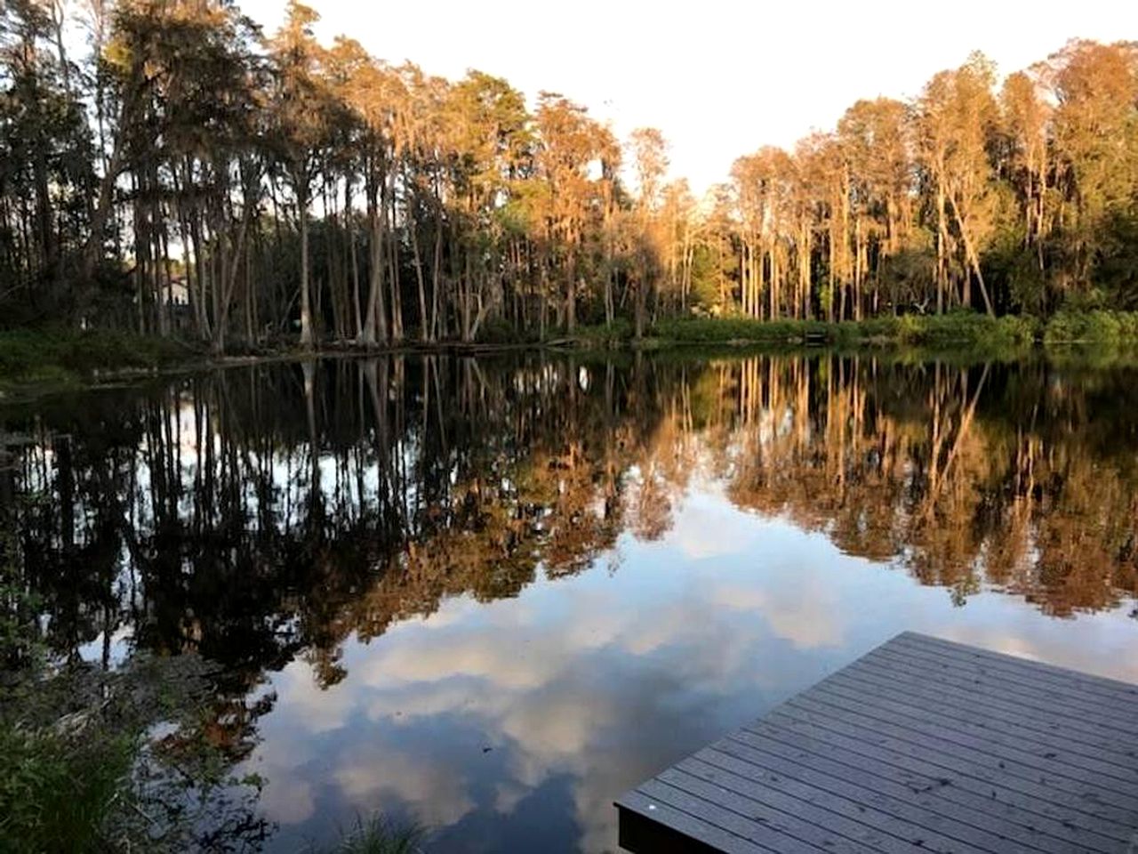 Luxurious Villa Rental with Pool and Hot Tub near Tampa, Florida