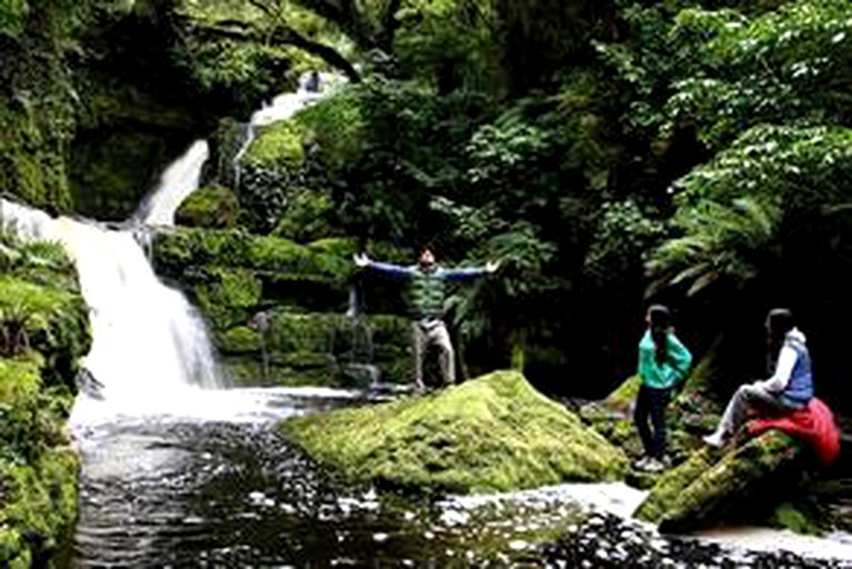 Nature Lodges (Papatowai, South Island, New Zealand)