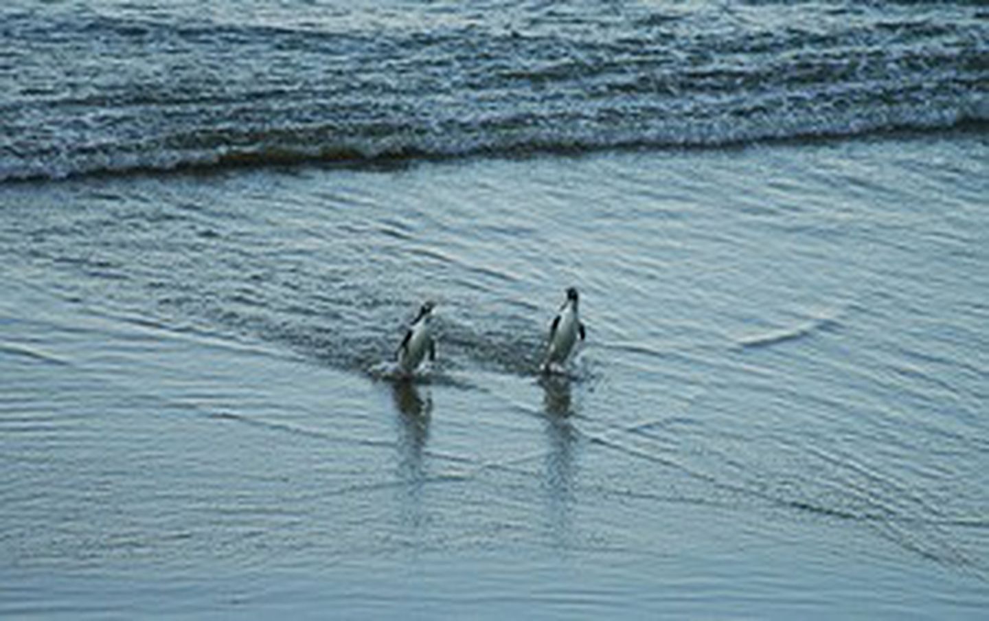 Romantic Getaway near the Catlins Forest Park on South Island, New Zealand