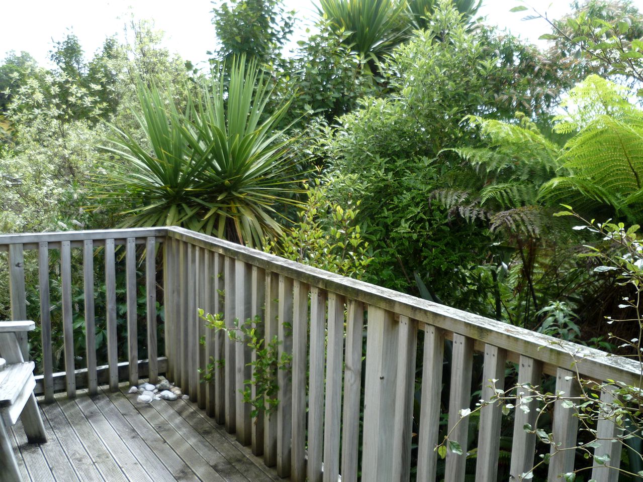 Romantic Getaway near the Catlins Forest Park on South Island, New Zealand