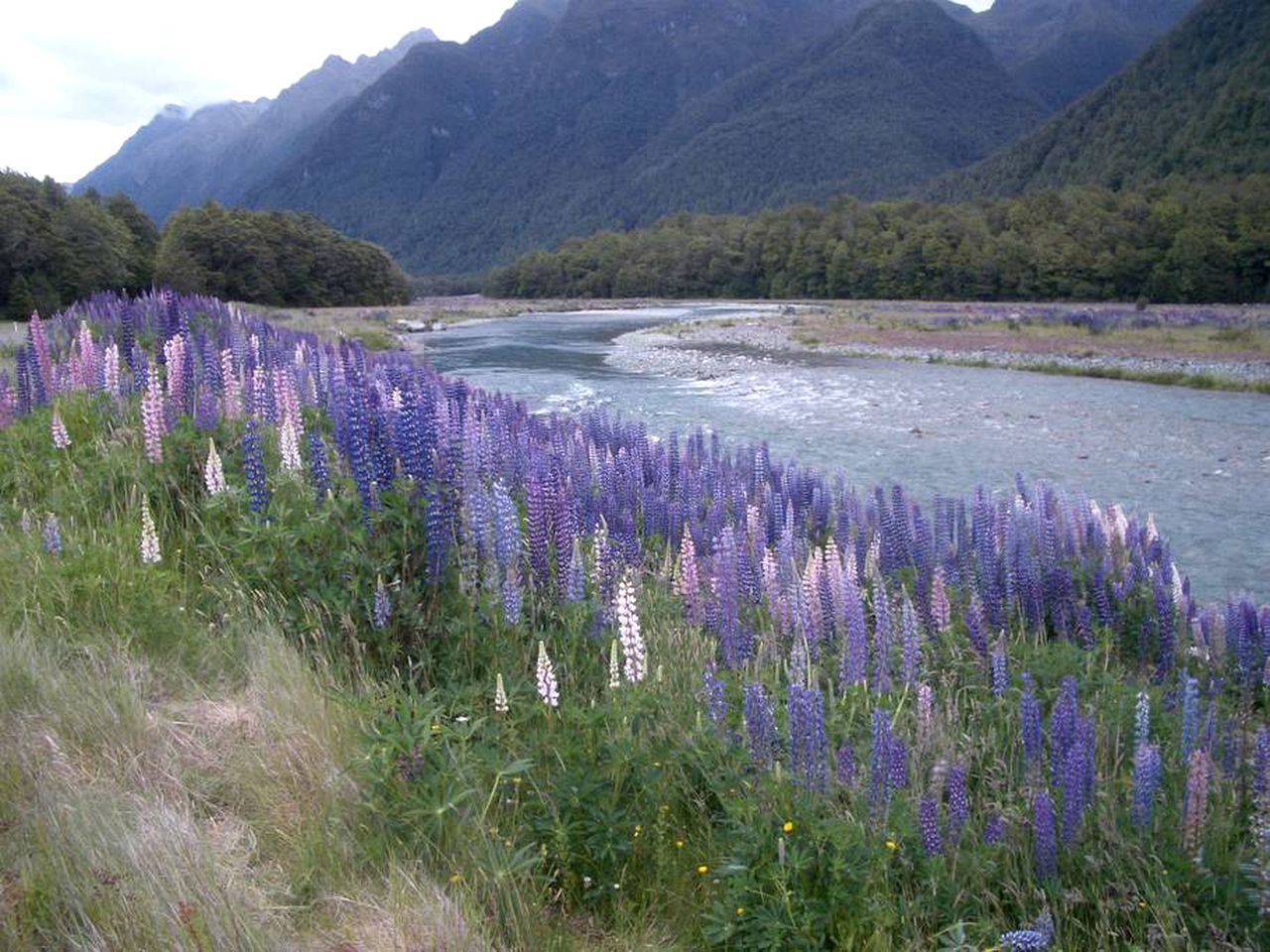 Boutique Bed and Breakfast on Five Rural Acres near Lake Te Anau, South Island