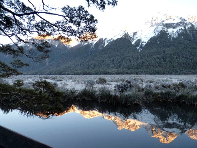 Nature Lodges (Te Anau, South Island, New Zealand)