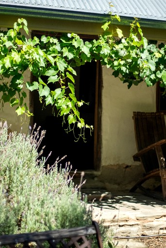 Vacation Rentals (Australia, --, --)