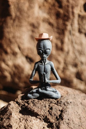 Vacation Rentals (United States of America, --, --)