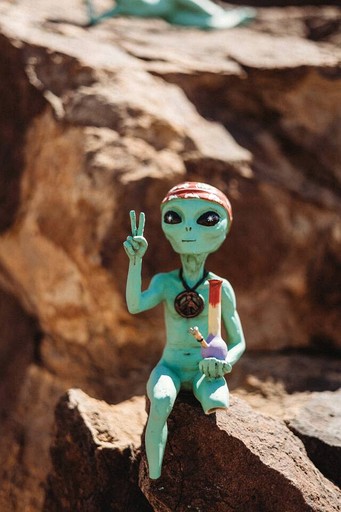 Vacation Rentals (United States of America, --, --)