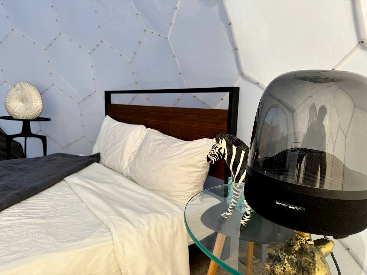 Incredible Dome on a Unique Space-Themed Site with Stunning Desert Views near Big Bend National Park in Terlingua, Texas