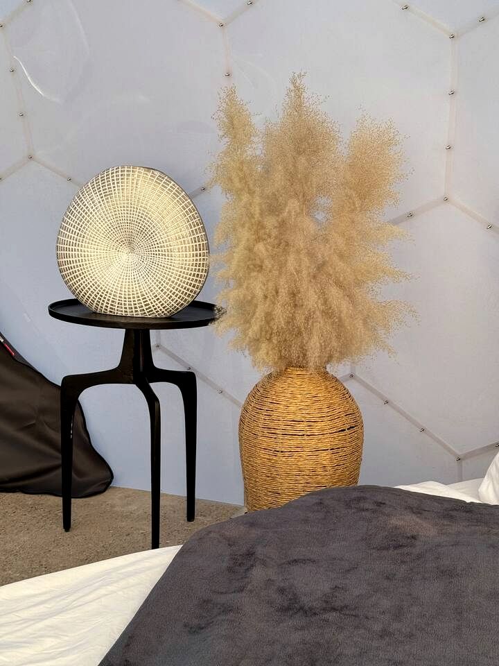 Unique and Pet Friendly Glamping Dome with Views of Big Bend National Park, Perfect for a Texas Glamping Getaway