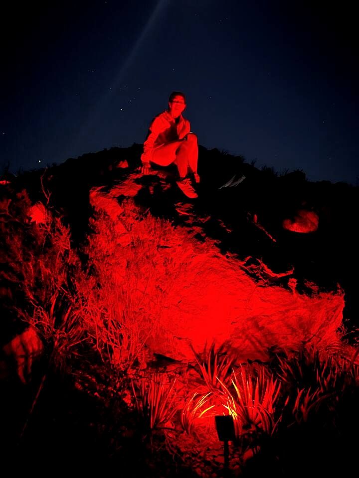 Unique and Pet Friendly Glamping Dome with Views of Big Bend National Park, Perfect for a Texas Glamping Getaway