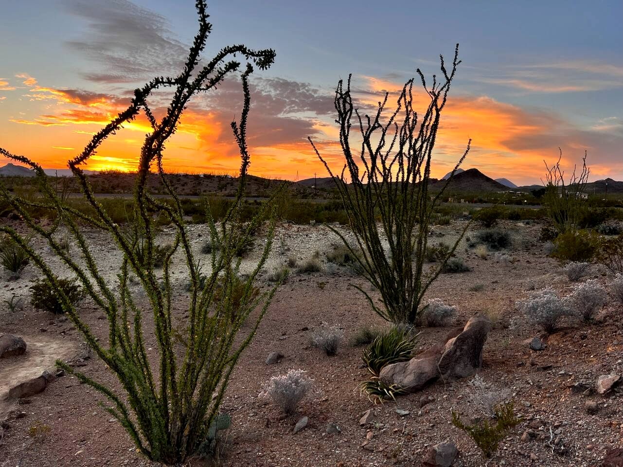 Unique and Pet Friendly Glamping Dome with Views of Big Bend National Park, Perfect for a Texas Glamping Getaway