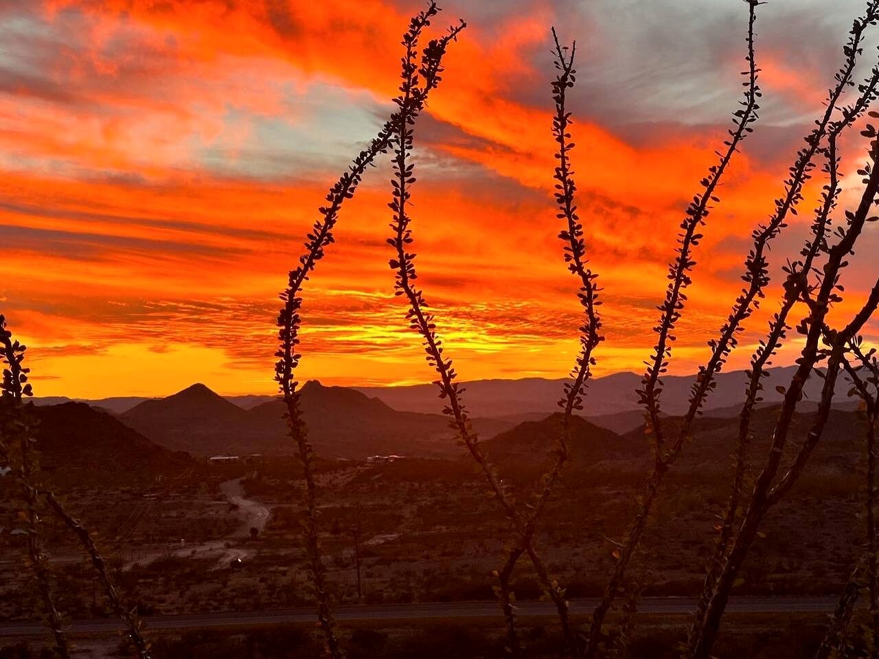 Unique and Pet Friendly Glamping Dome with Views of Big Bend National Park, Perfect for a Texas Glamping Getaway