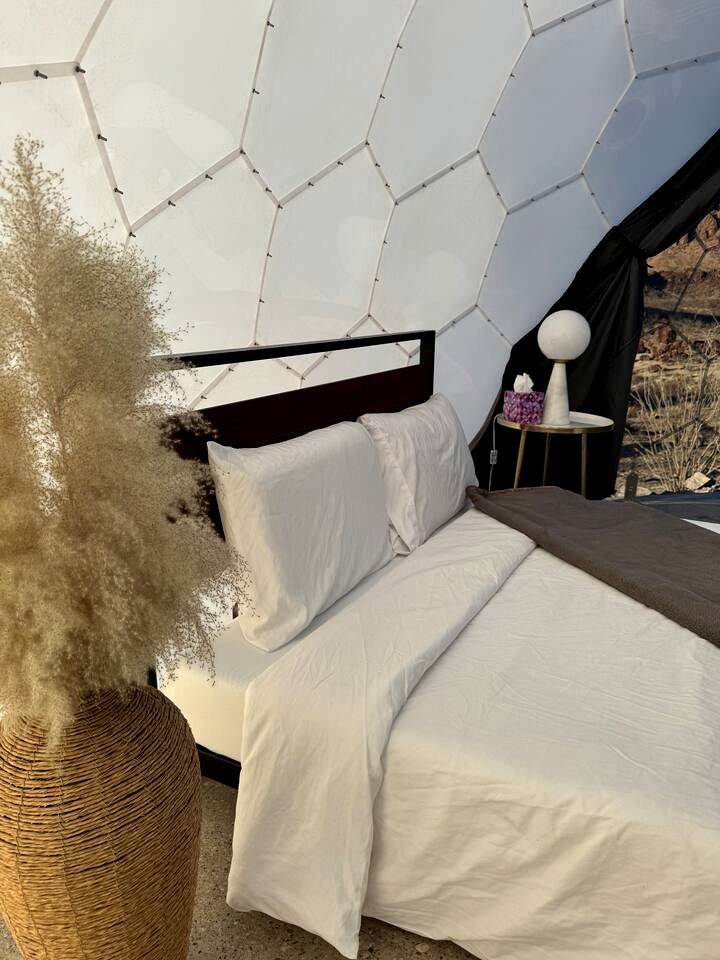 Unique and Pet Friendly Glamping Dome with Views of Big Bend National Park, Perfect for a Texas Glamping Getaway