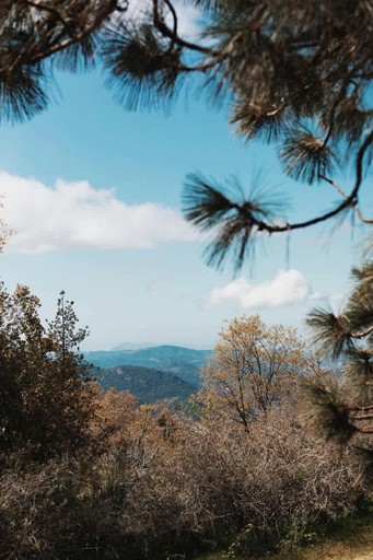 Cabins (United States of America, Dunlap, California)