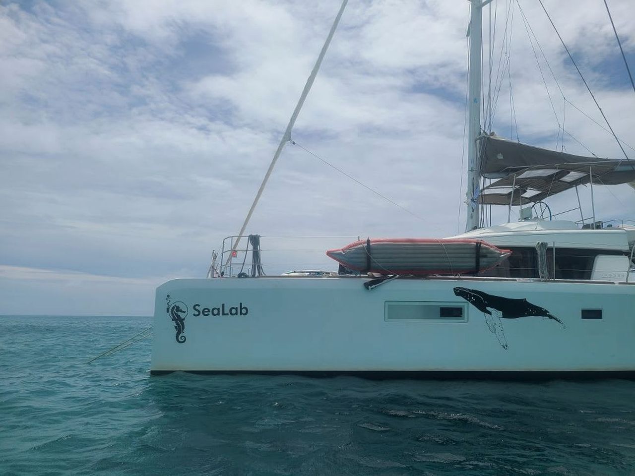 Incredible Catamaran Boat with Marina Amenities for a Unique Vacation on the Water in Key West, Florida