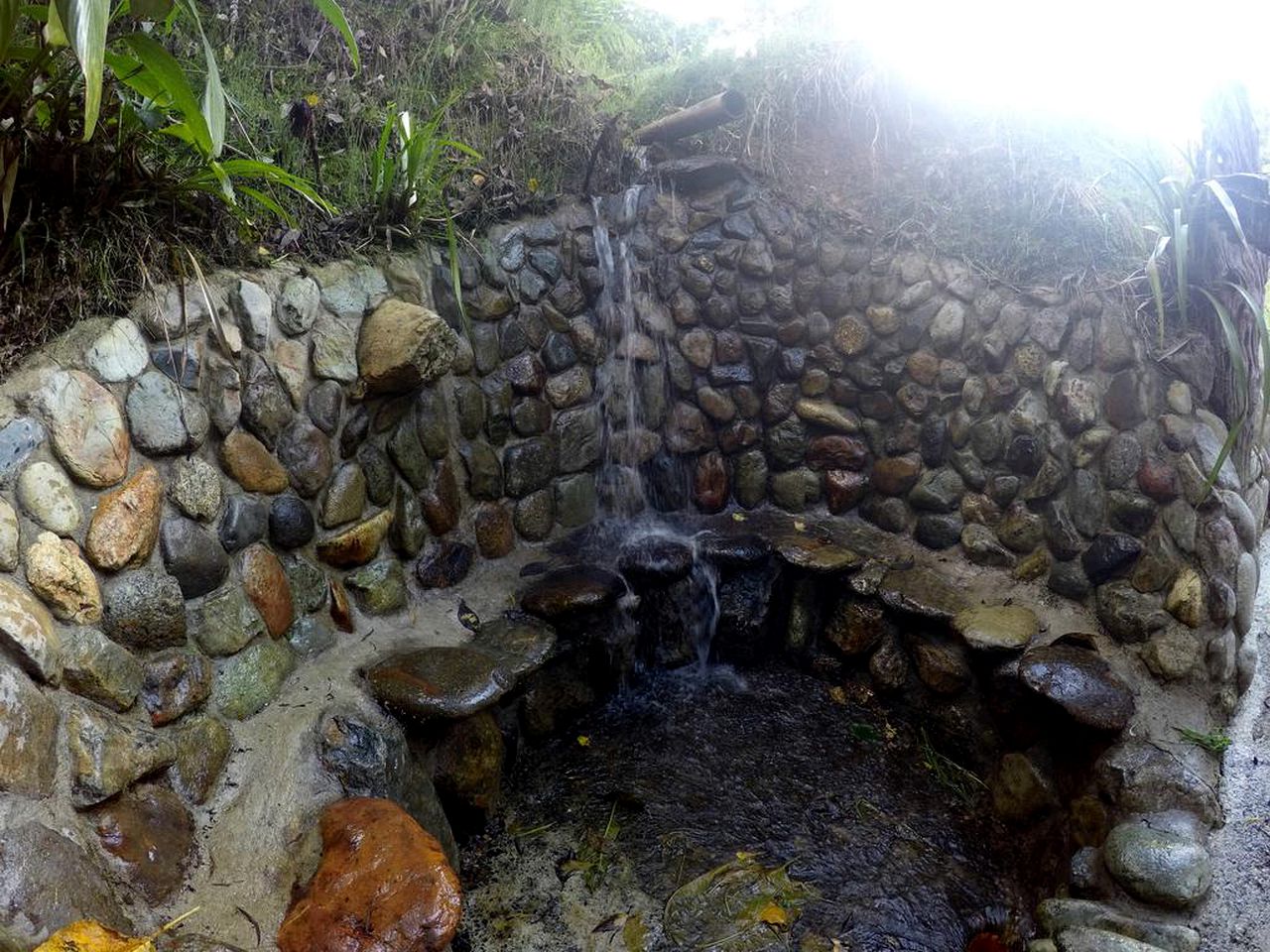 Spacious Accommodation near Hiking Trails in Cocora Valley, Colombia