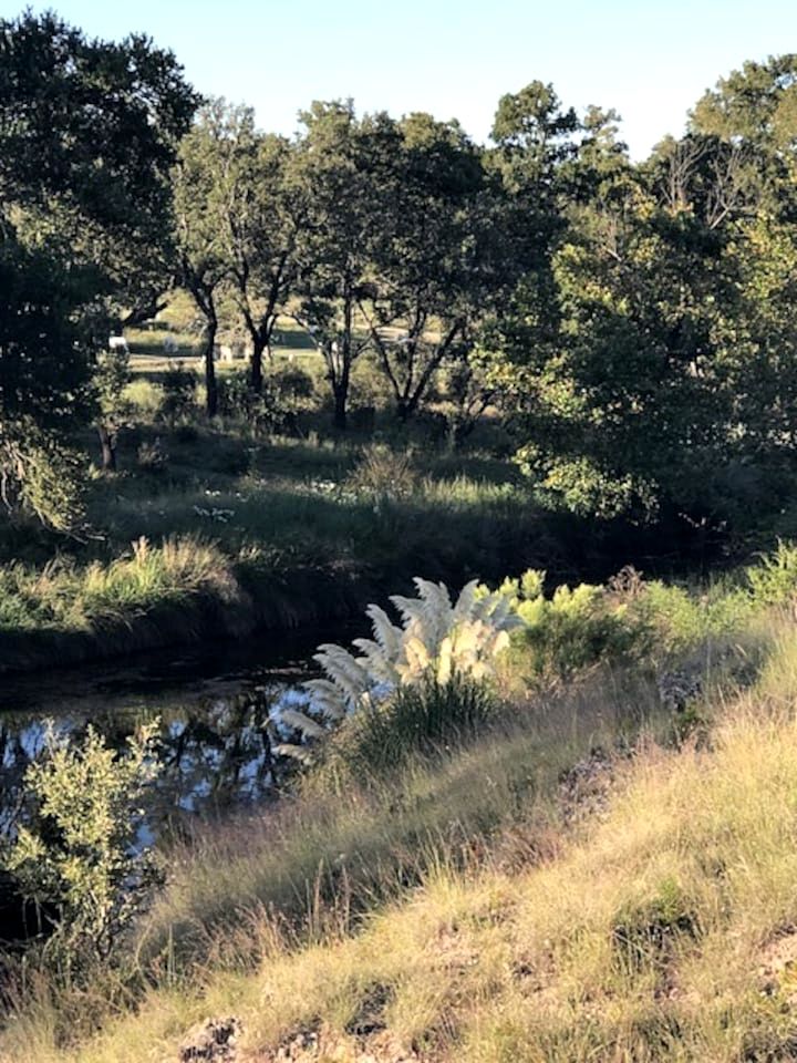 Spacious Accommodation for Two with Direct Creek Access for Fishing in Fredericksburg, Texas