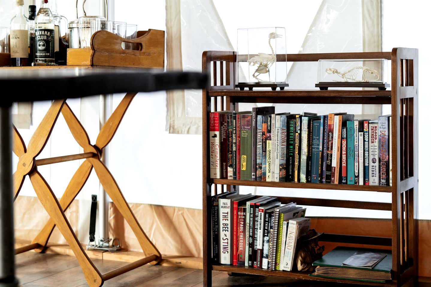 Cozy Family Bell Tent with Fire Pit & Stargazing near Grand Canyon, Arizona