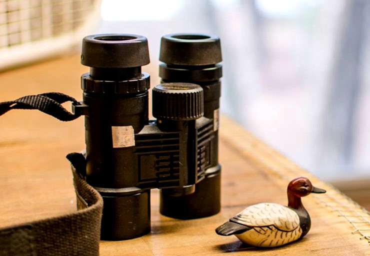 Cabins (Interlachen, Florida, United States)