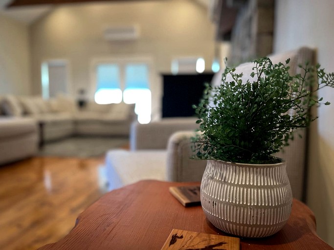 Cabins (United States of America, Bridgton, Maine)