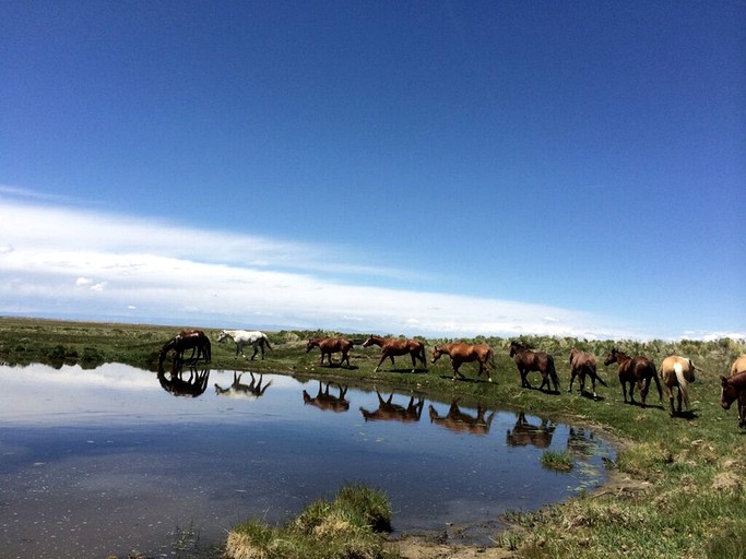 Cabins (Mosca, Colorado, United States)