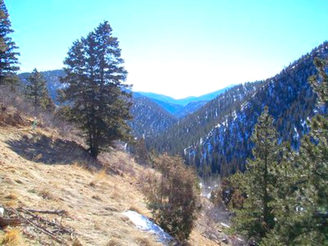 Spacious Cabin Rental with a Hot Tub for a Weekend Getaway near Denver, Colorado