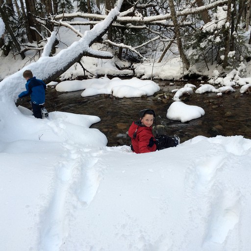 Ski Chalet, Cabins, Ludlow, United States of America