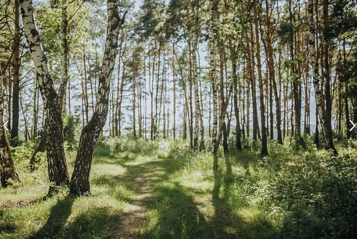 Spacious Cabin Retreat with Hot Tub, Fire Pit, Large Deck and Access to Community Pool and Other Amenities at this Berekely Springs, WV Getaway