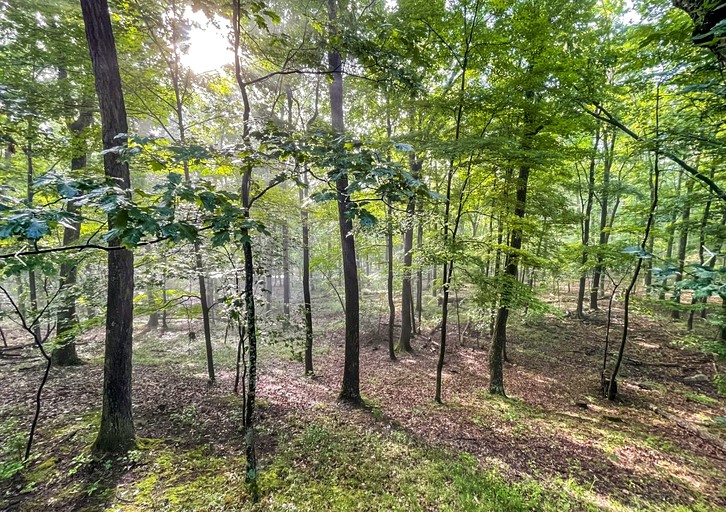 Cabins (United States of America, Berkeley Springs , West Virginia)