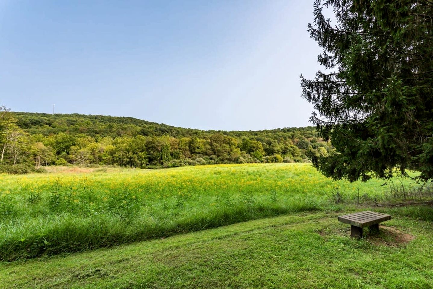 Spacious Cabin Retreat with Hot Tub, Fire Pit, Large Deck and Access to Community Pool and Other Amenities at this Berekely Springs, WV Getaway