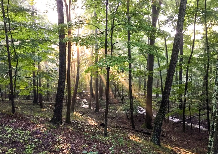 Cabins (United States of America, Berkeley Springs , West Virginia)