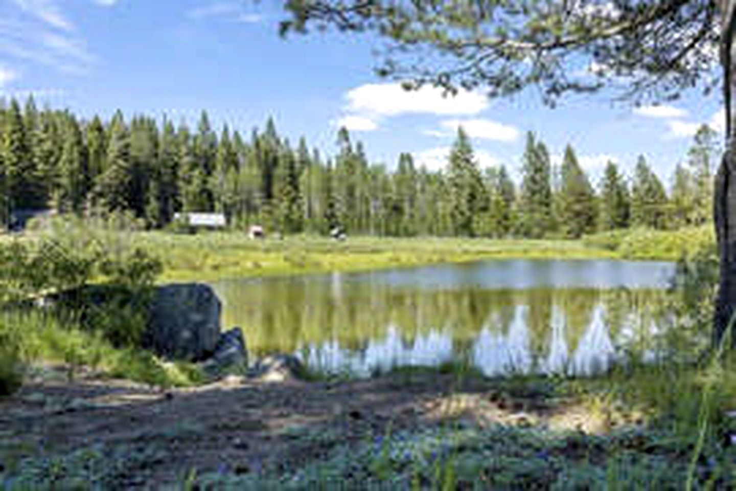 Spacious Cabin For Large Groups Located in the Charming Sky High Ranch in California!