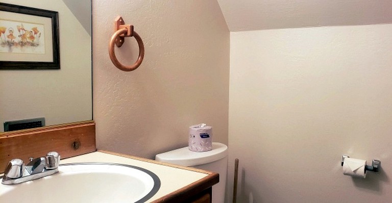 Cabins (United States of America, Bear Valley , California)