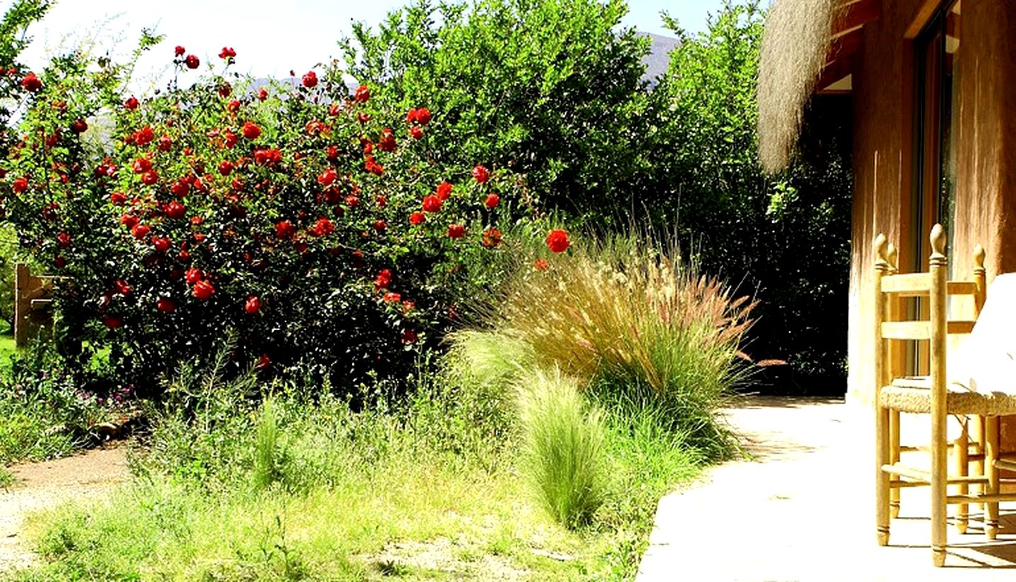 Spacious Cabins in the Lush Elqui Valley of El Molle, Chile