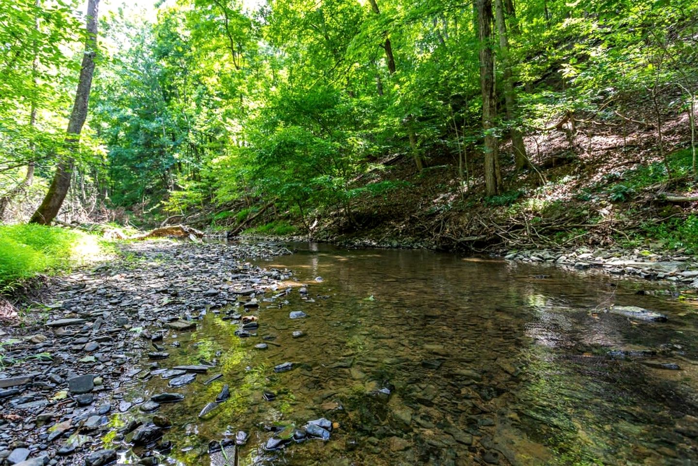 Spacious Chalet-Cabin with Hot Tub, Huge Deck, Fire Pit All Just a 15 Minute Walk to Sleepy Creek in Berkeley Springs, WV