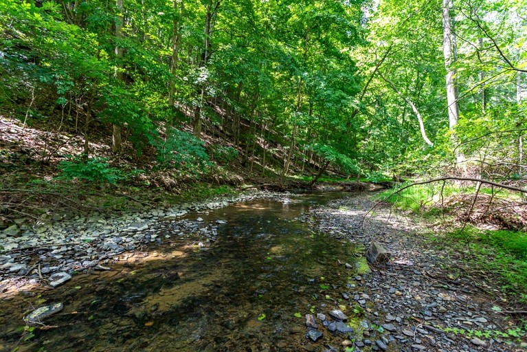 Cabins (United States of America, Berkeley Springs , West Virginia)