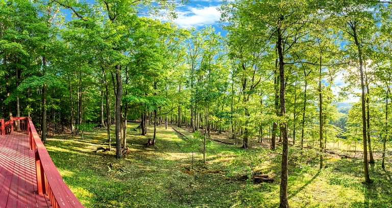 Cabins (United States of America, Berkeley Springs , West Virginia)