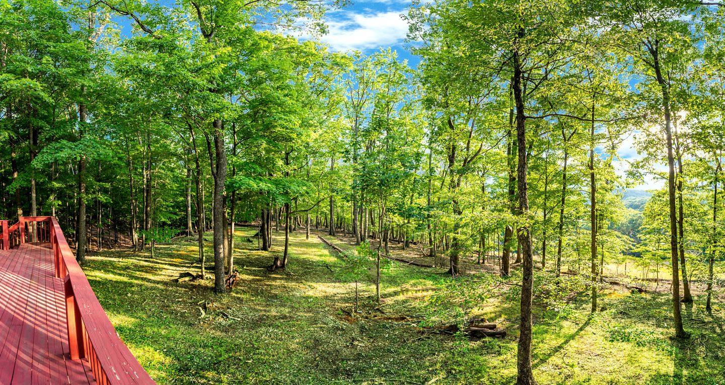 Spacious Chalet-Cabin with Hot Tub, Huge Deck, Fire Pit All Just a 15 Minute Walk to Sleepy Creek in Berkeley Springs, WV