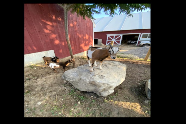 Vacation Rentals (United States of America, Saco, Maine)