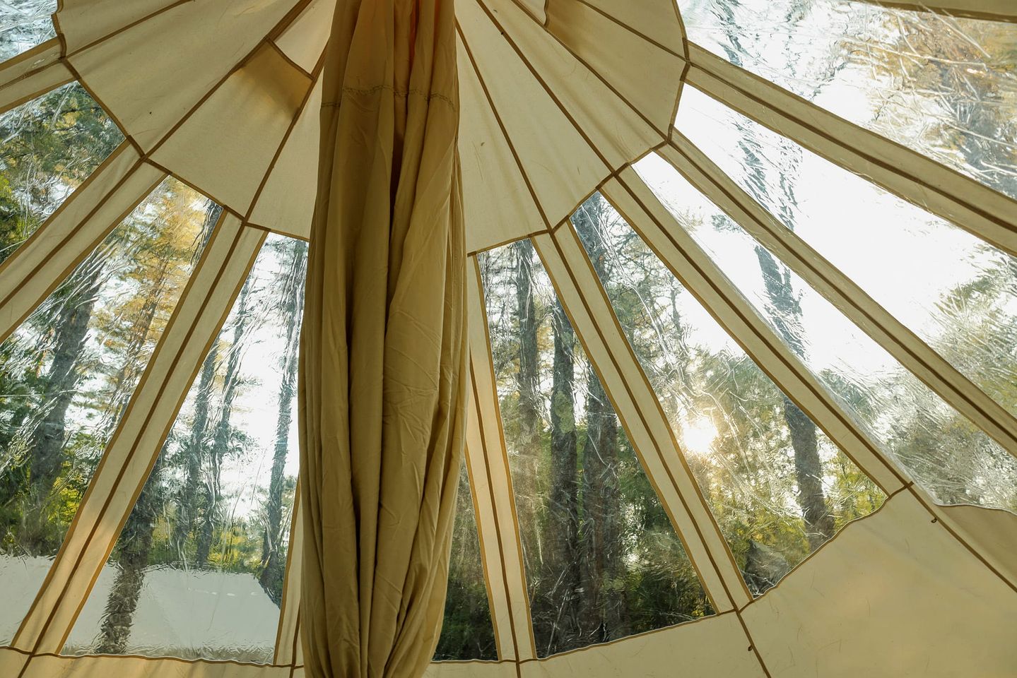 Pet-Friendly Bell Tent with Chic and Cozy Interior in Maine