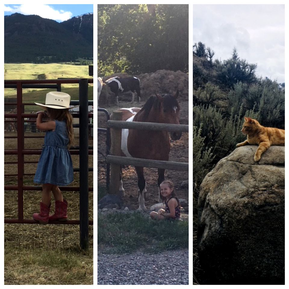 Spacious Family Cabin Rental near Yellowstone National Park in Montana